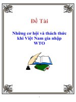 Báo cáo thực tập: Những cơ hội và thách thức khi Việt Nam gia nhập WTO doc