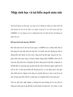 Nhịp sinh học và tai biến mạch máu não pot