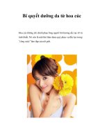 Bí quyết dưỡng da từ hoa cúc ppt