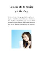 Cấp cứu khi da bị nắng gắt tấn công pdf