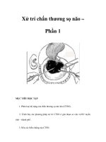 Xử trí chấn thương sọ não – Phần 1 pptx