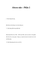 Abcess não – Phần 2 doc