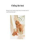 Chống lão hoá potx