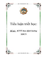 Tiểu luận triết học: KTTT theo định hướng XHCN pot
