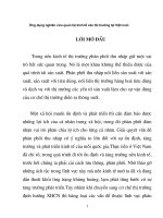 Ứng dụng nghiên cứu quan hệ kinh tế vào thị trường tại Việt nam phần 1 pptx