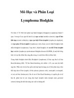Mô Học và Phân Loại Lymphoma Hodgkin ppsx