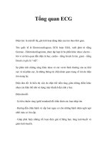 Tổng quan ECG ppsx