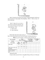 Chuyên đề tốt nghiệp: Tìm hiểu hoạt động,thành phần,nguồn gốc của các quần xã sinh vật trong môi trường phần 6 pdf