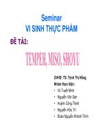 Tiểu luận vệ sinh thực phẩm TEMPEH MISOSHOYU