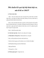 Phê chuẩn kết quả đại hội đoàn luật sư, mã số hồ sơ 136137 pptx