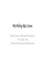 Hệ thống tệp Linux pptx