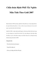 Chẩn đoán Bệnh Phổi Tắc Nghẽn Mãn Tính Theo Gold 2007 pps