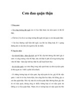 Cơn đau quặn thậnI pot