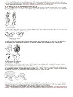 Ôn tập : Sinh học 12 phần 9 pdf