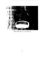 Đề án cấp quốc gia : Chống lại tác động của vi sinh vật độc hại part 6 ppsx