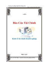 Báo cáo: Kinh tế tài chính doanh nghiệp pdf