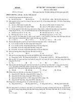 Đề 010 - ĐỀ THI THỬ VÀO ĐẠI HỌC, CAO ĐẲNG Môn thi: HÓA pps