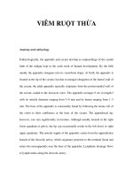 VIÊM RUỘT THỪA doc