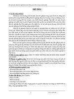 thực trạng và giải pháp hoàn thiện công tác nguồn nhân lực tại công ty công ty tnhh thương mại và may công nghiệp đại triển