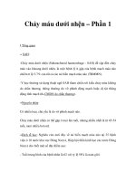 Chảy máu dưới nhện – Phần 1 potx