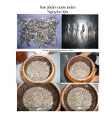 Nguyên liệu để làm nước mắm ppt