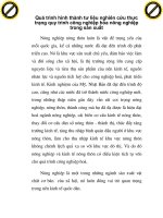 Quá trình hình thành tư liệu nghiên cứu thực trạng quy trình công nghiệp hóa nông nghiệp trong sản xuất p1 potx