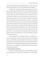 Giáo trình đa dạng động vật part 5 docx