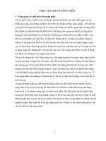 Chất thải rắn ở nông thôn pot