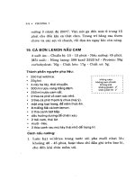 Bệnh đau đầu và đâu nửa đầu part 10 pptx