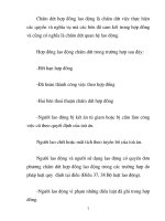 Luận văn tốt nghiệp: Sử dụng lao động phải tuân theo luật của nhà nước ban hành phần 2 potx