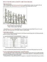 Ôn tập : Sinh học 12 phần 2 ppt