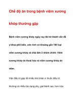 Chế độ ăn trong bệnh viêm xương khớp thường gặp docx