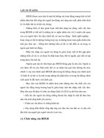 Luận văn tốt nghiệp: Lợi ích của quỹ BHXH tại Việt Nam phần 2 pptx