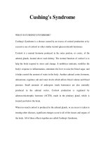 Cushing''''s Syndrome pdf