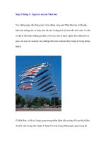 Các lễ hội đặc sắc tại Nhật Bản - 1 pps