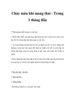 Chảy máu khi mang thai - Trong 3 tháng đầu pptx