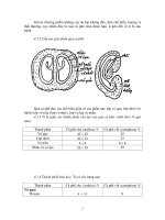 Kỹ thuật sản xuất các sản phẩm nhiệt đới part 9 ppt