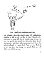 Ấp trứng gia cầm bằng phương pháp thủ công cổ truyền có cải tiến part 4 ppt