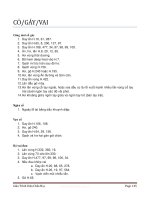 Diện chẩn học part 9 pptx