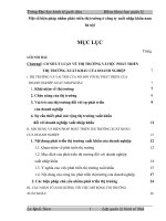 một số biện pháp nhằm phát triển thị trường ở công ty xuất nhập khẩu nam hà nội