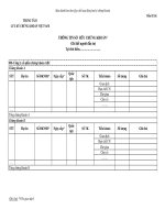 MẪU THÔNG TIN SỞ HỮU CHỨNG KHOÁN (Chi tiết người đầu tư) ppt