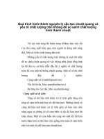 Quá trình hình thành nguyên lý cấu tạo chuột quang và yếu tố chất lượng trên không để so sánh chất lượng hình thành chuột p1 pot