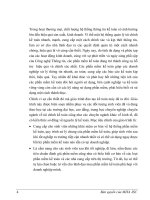 Kỹ thuật vẽ sơ đồ hạch toán kế toán vốn bằng tiền trong quy trình sử dụng p9 docx