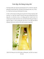 Làm đẹp cầu thang trong nhà pot