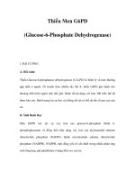 Thiếu Men G6PD (Glucose-6-Phosphate Dehydrogenase) pdf