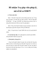 Bổ nhiệm Trợ giúp viên pháp lý, mã số hồ sơ 018675 docx