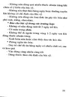 Chăm sóc và điều trị triệu chứng cho bệnh nhân ung thư part 5 pptx