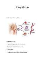 Tăng tiểu cầu docx