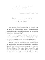 MẪU BẢO LÃNH THỰC HIỆN HỢP ĐỒNG potx