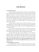 Tìm hiểu về quy trình kiểm toán tiền và các khoản tương đương tiền tại công ty TNHH kiểm toán và tư vấn ac chi nhánh nha trang